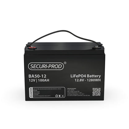 Inverter 1000W Pure Sine Wave 12VDC Intelligent Charger LCD